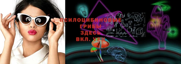 амф Белоозёрский
