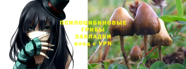 мескалин Богородицк