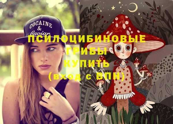 стафф Белокуриха