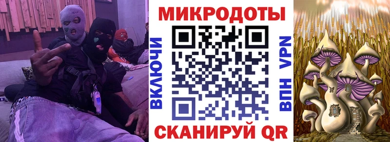 магазин продажи наркотиков  Мирный  Галлюциногенные грибы Cubensis 