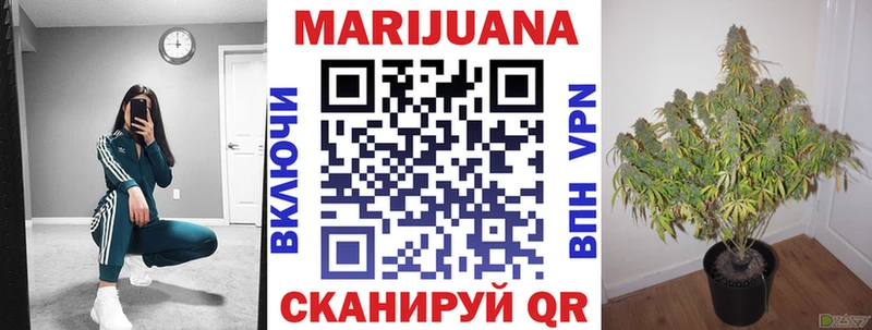 Канабис OG Kush  Мирный 